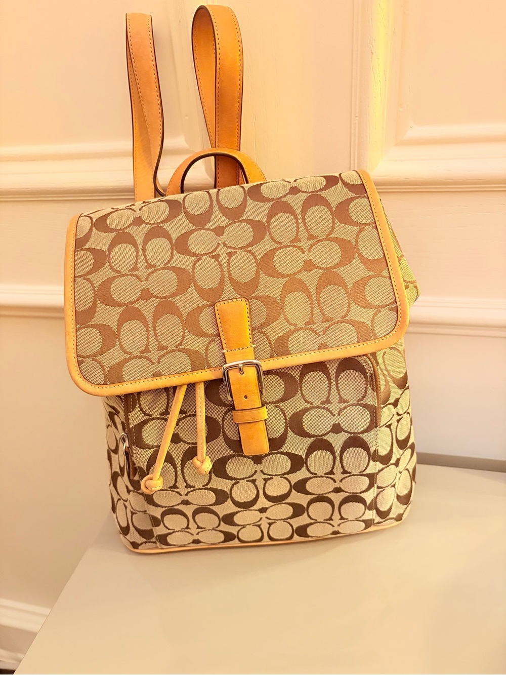 Coach Signature Canvas Backpack- leather trim